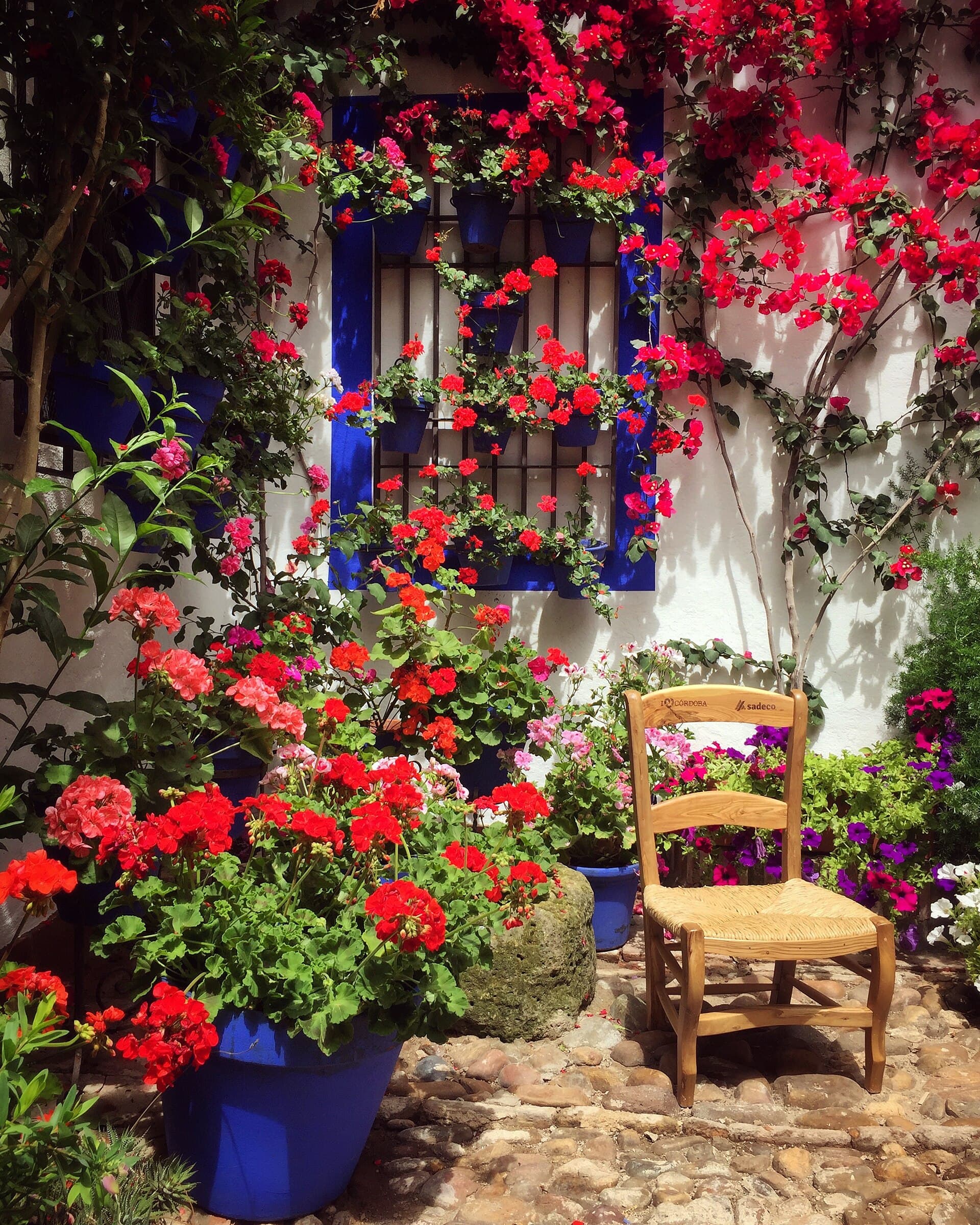 Un patio addobbato di fiori durante la Fiesta de los Patios di maggio, Patrimonio immateriale UNESCO.